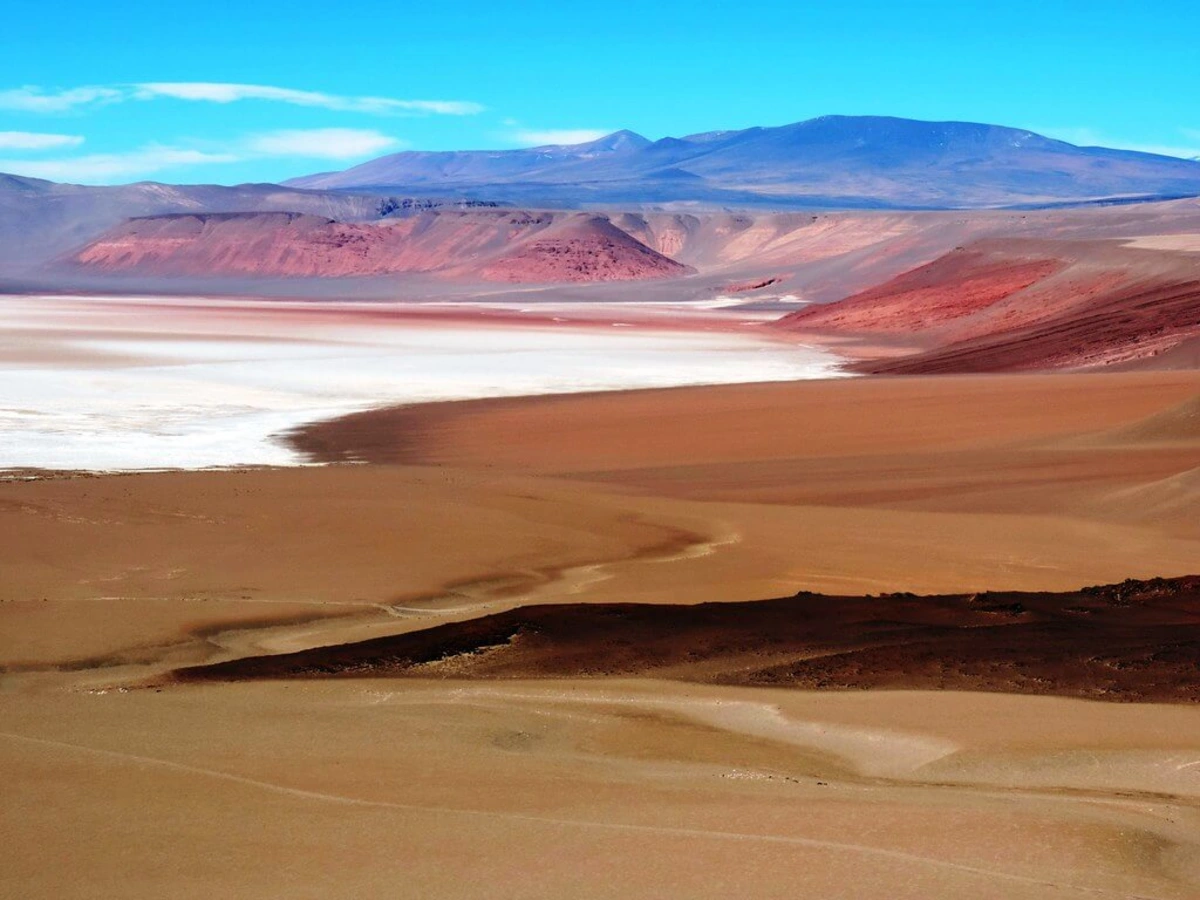 Salar d'Antofalla, Argentine