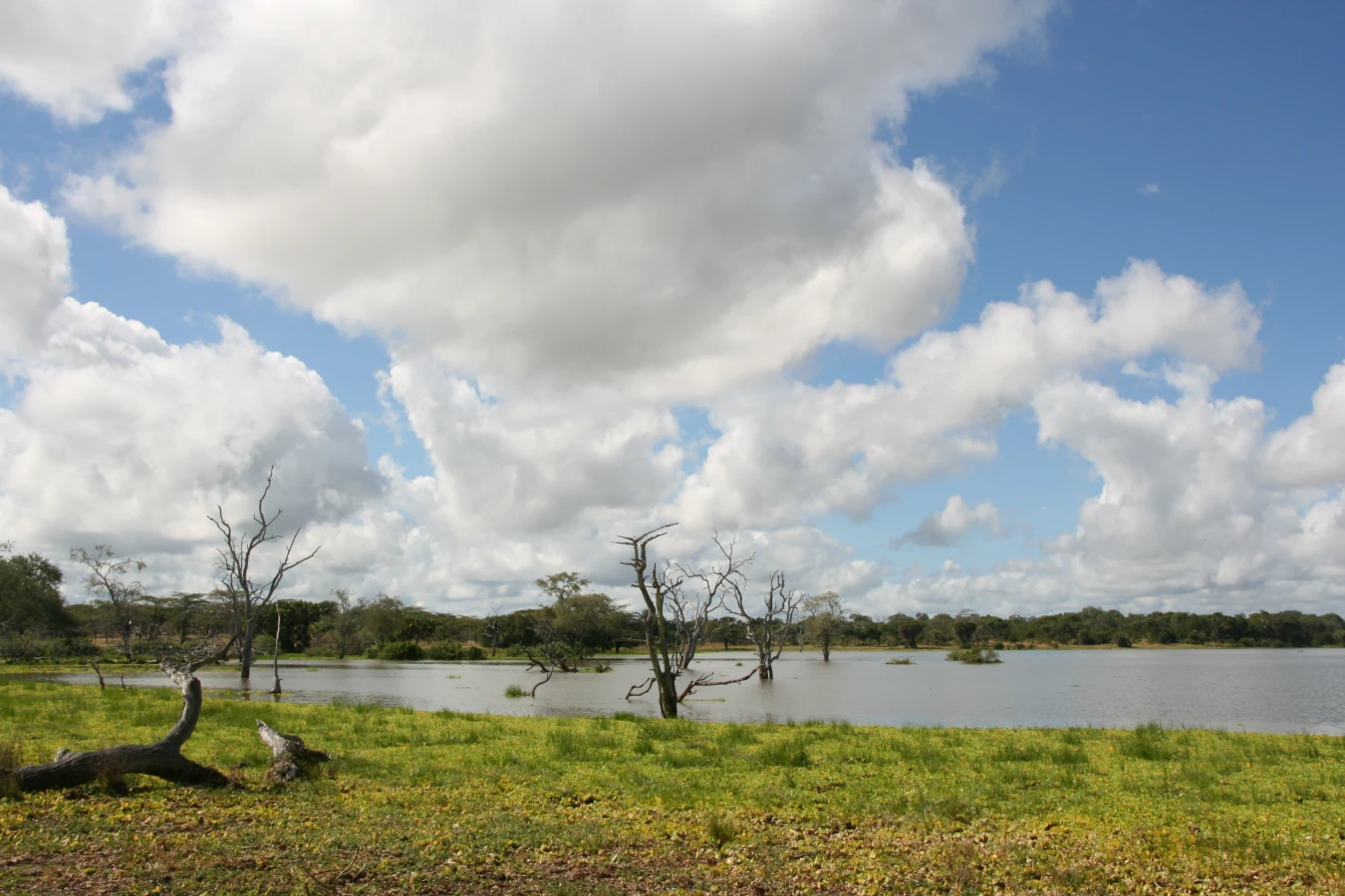 Réserve de gibier de Sélous, Tanzanie
