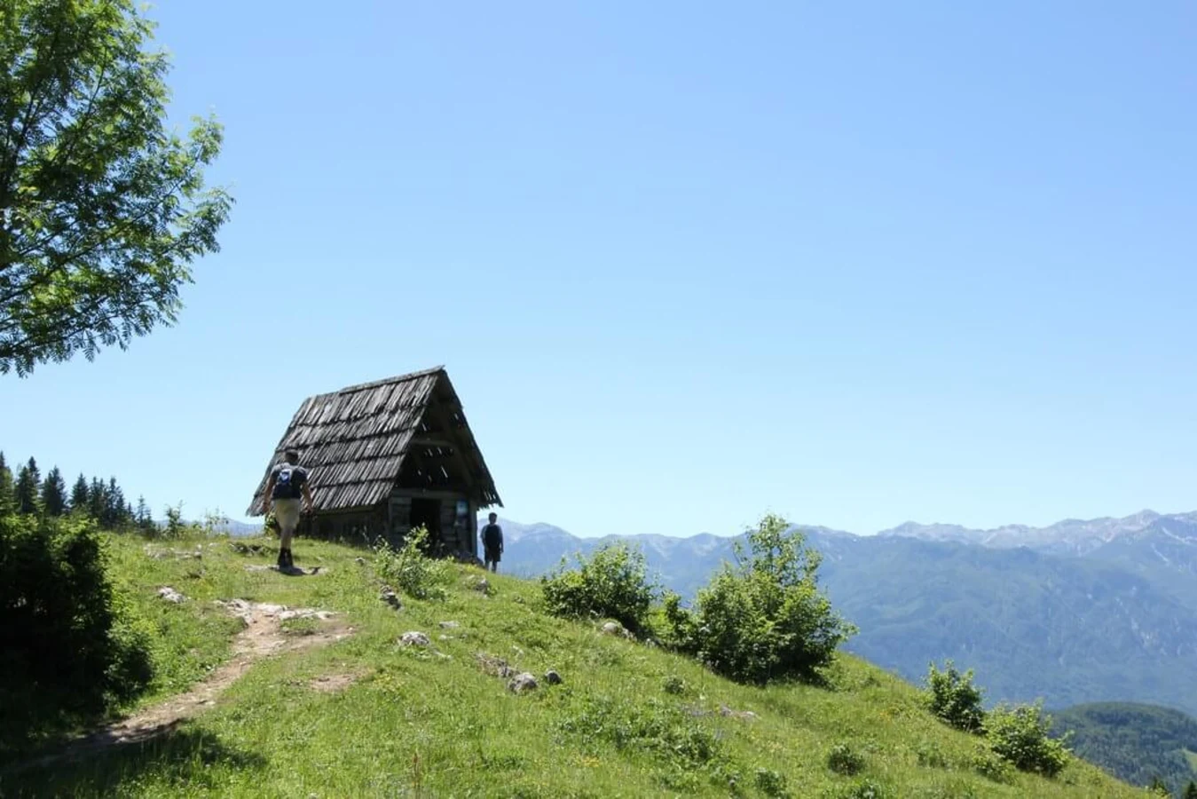 Zajamniki, Slovénie