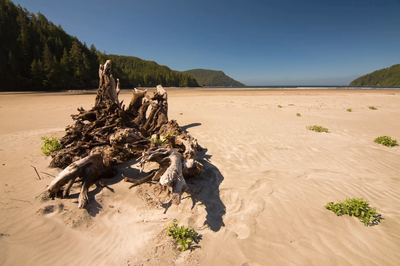 Cape Scott Trail, Canada