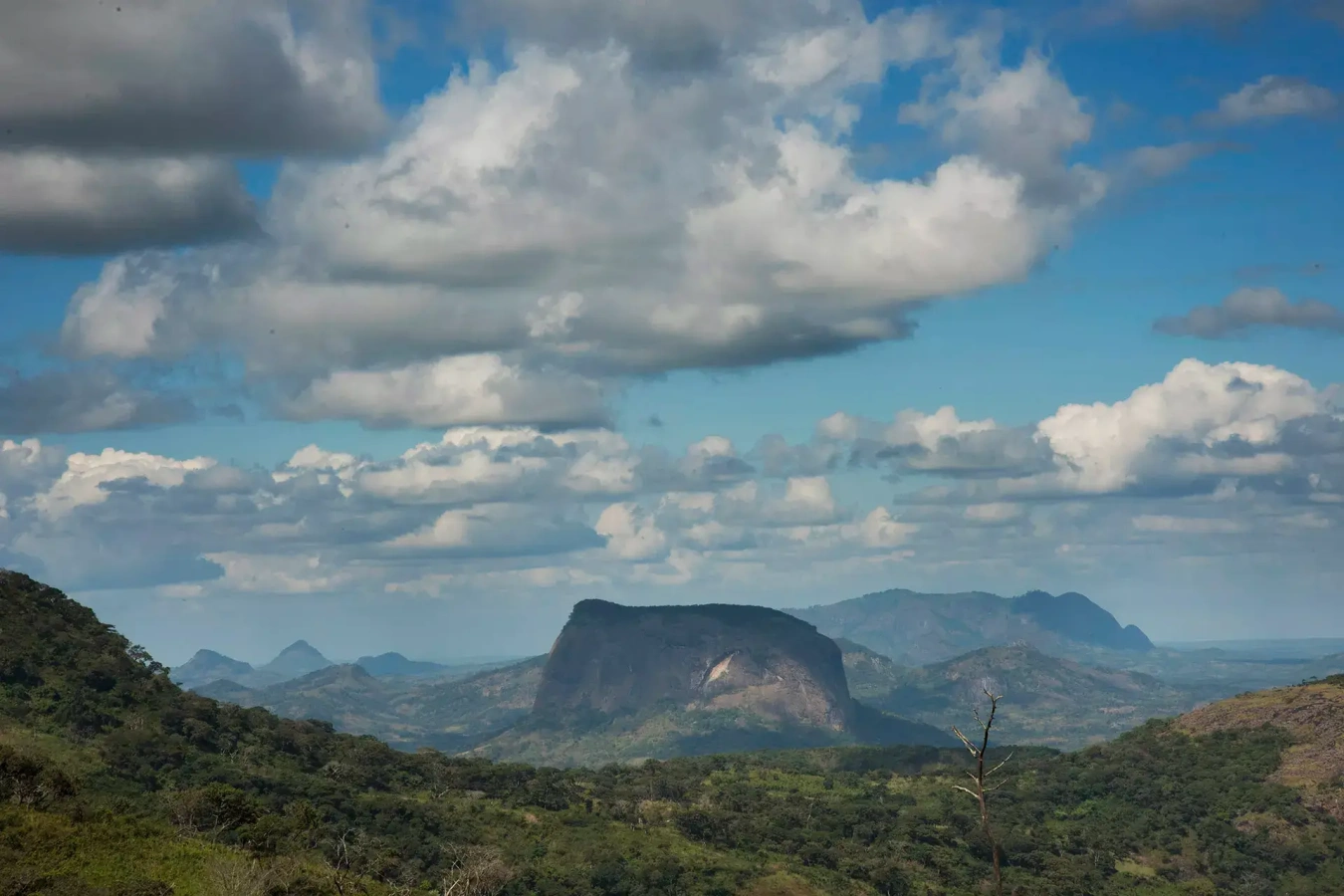Mont Mabu, Mozambique