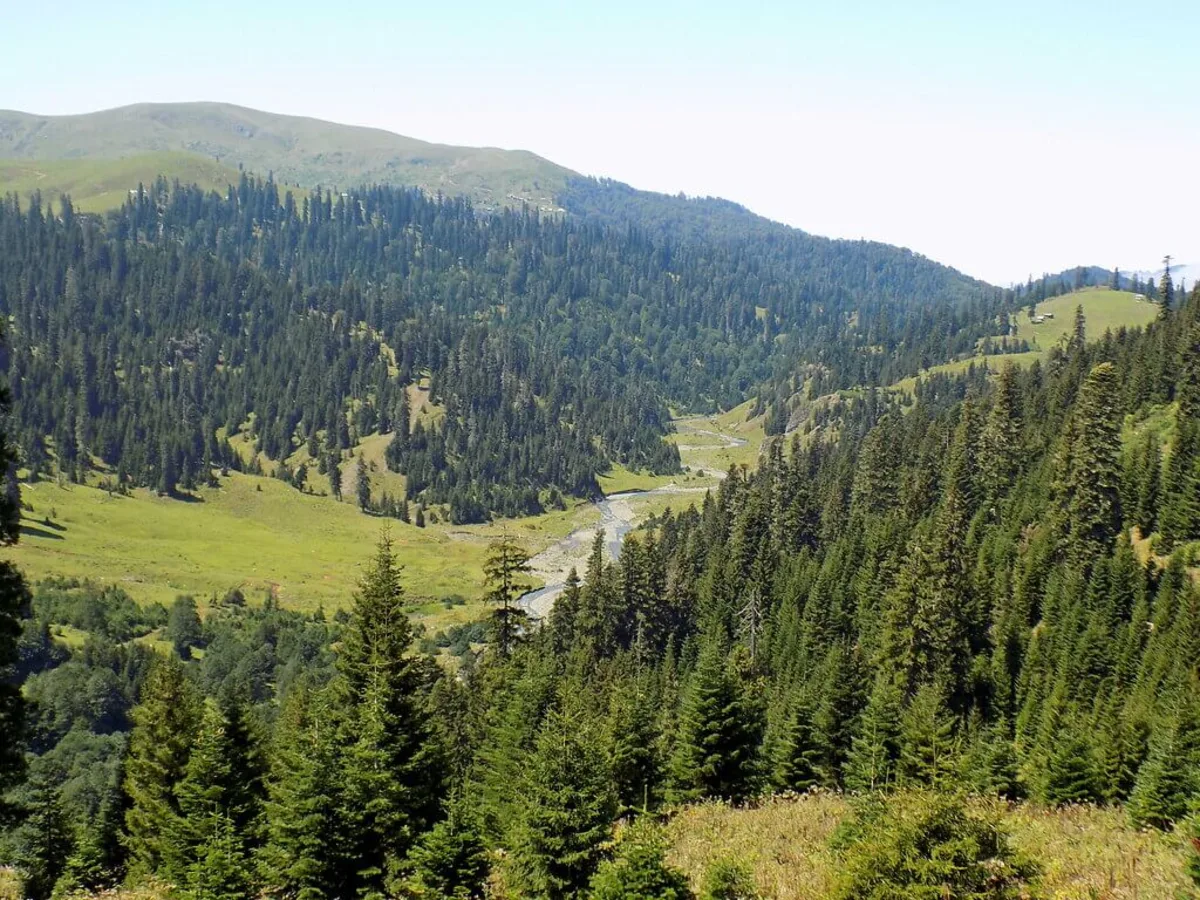Bakhmaro, Géorgie