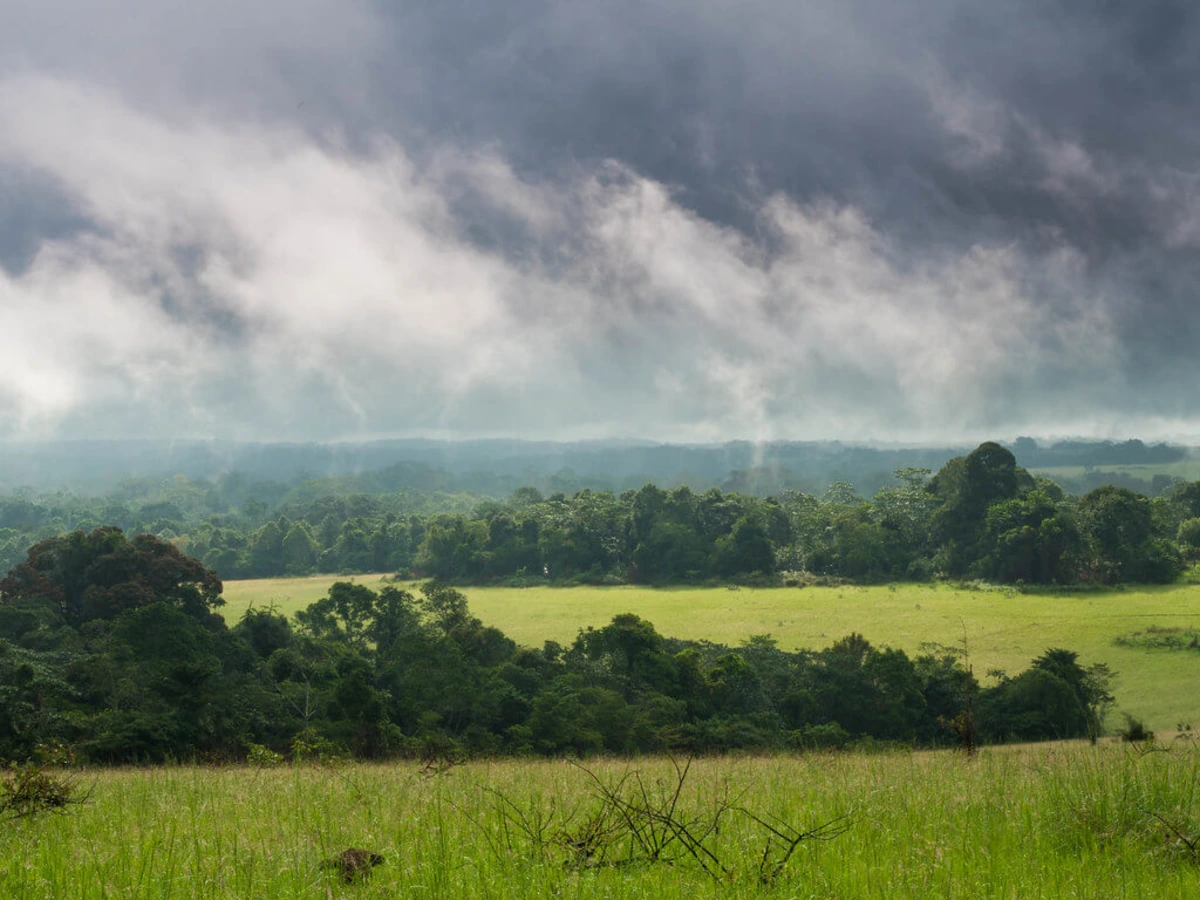 Parc national de Conkouati-Douli, République du Congo