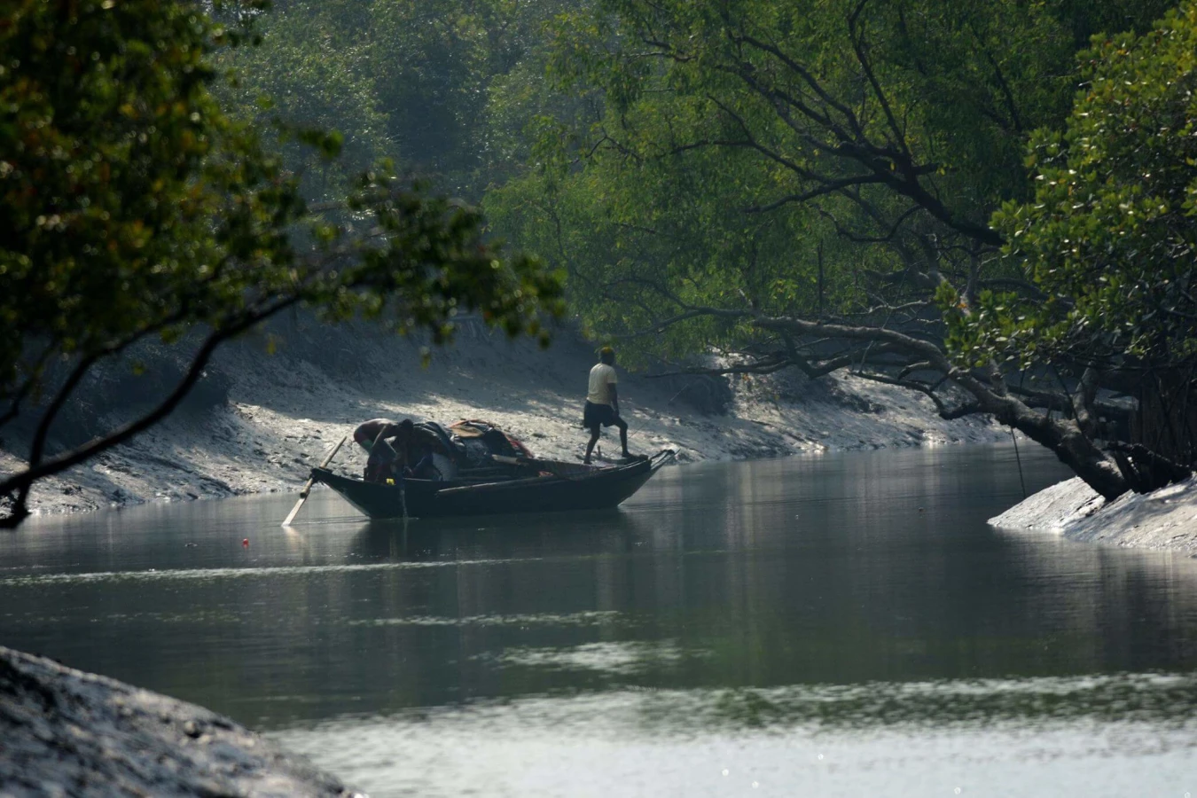 Fôret de mangrove des Sundarbans, Bangladesh