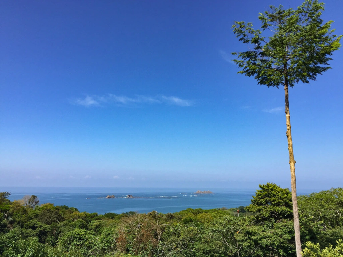Parc national marin Ballena, Costa Rica
