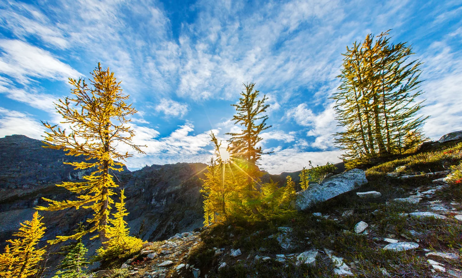 Maple Pass Loop, États-Unis