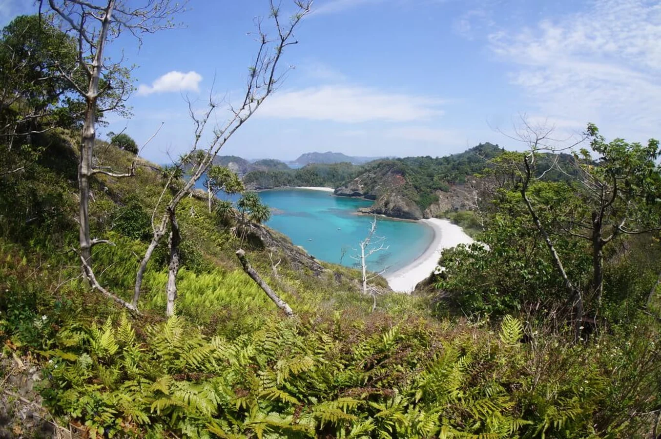 Ogasawara, Japon