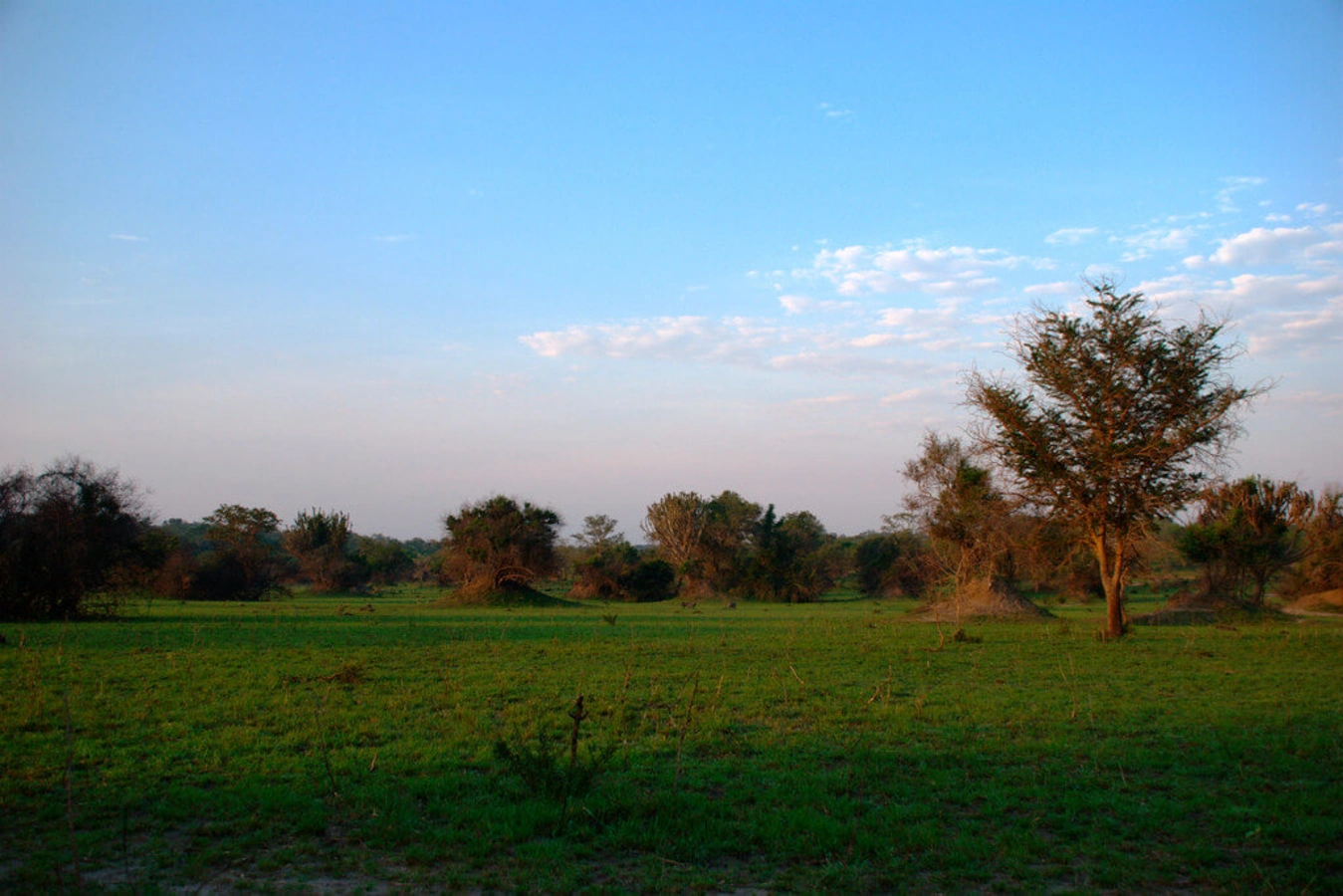 Parc national du lac Mburo, Ouganda