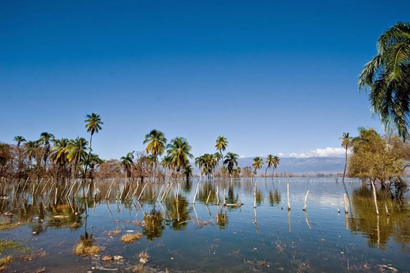 Isla Cabritos, République dominicaine