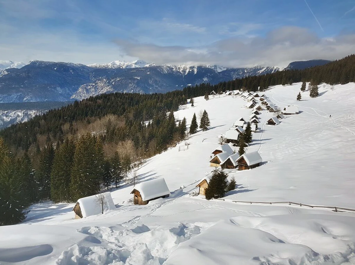 Zajamniki, Slovénie