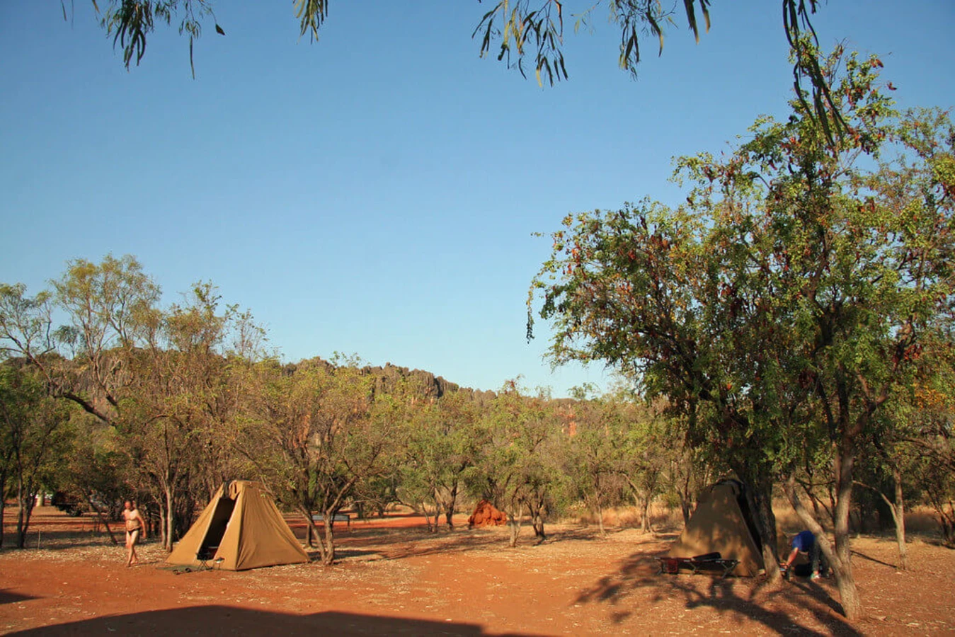 Parc national de Windjana Gorge, Australie