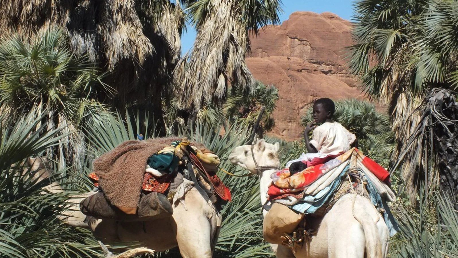 Guelta de Bachikele, Tchad