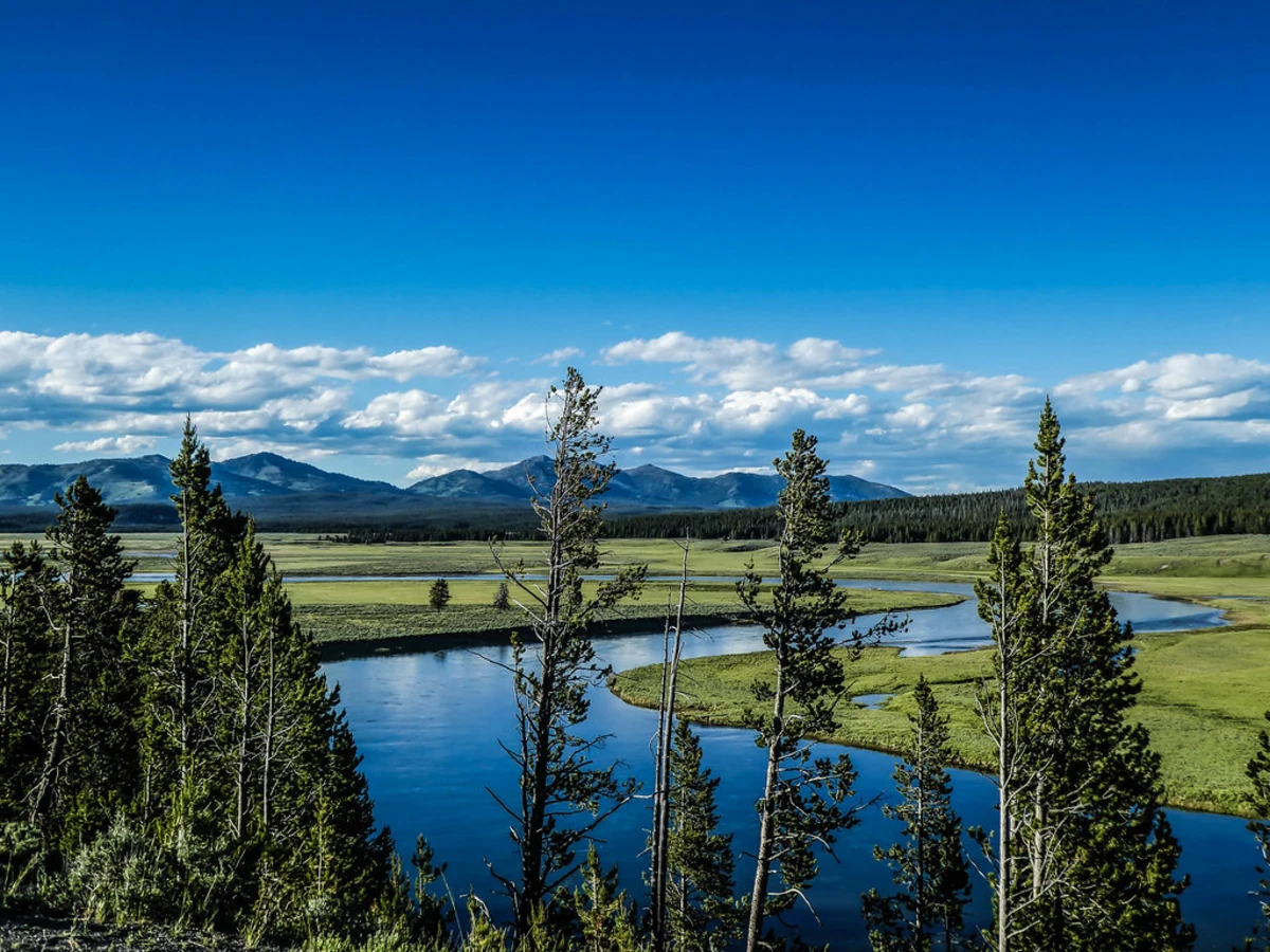 Hayden Valley, États-Unis