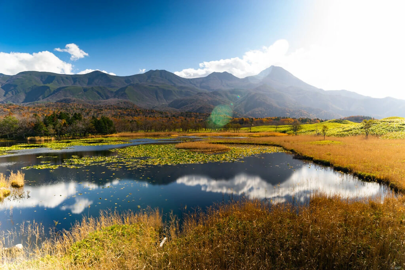 Parc national de Shiretoko, Japon