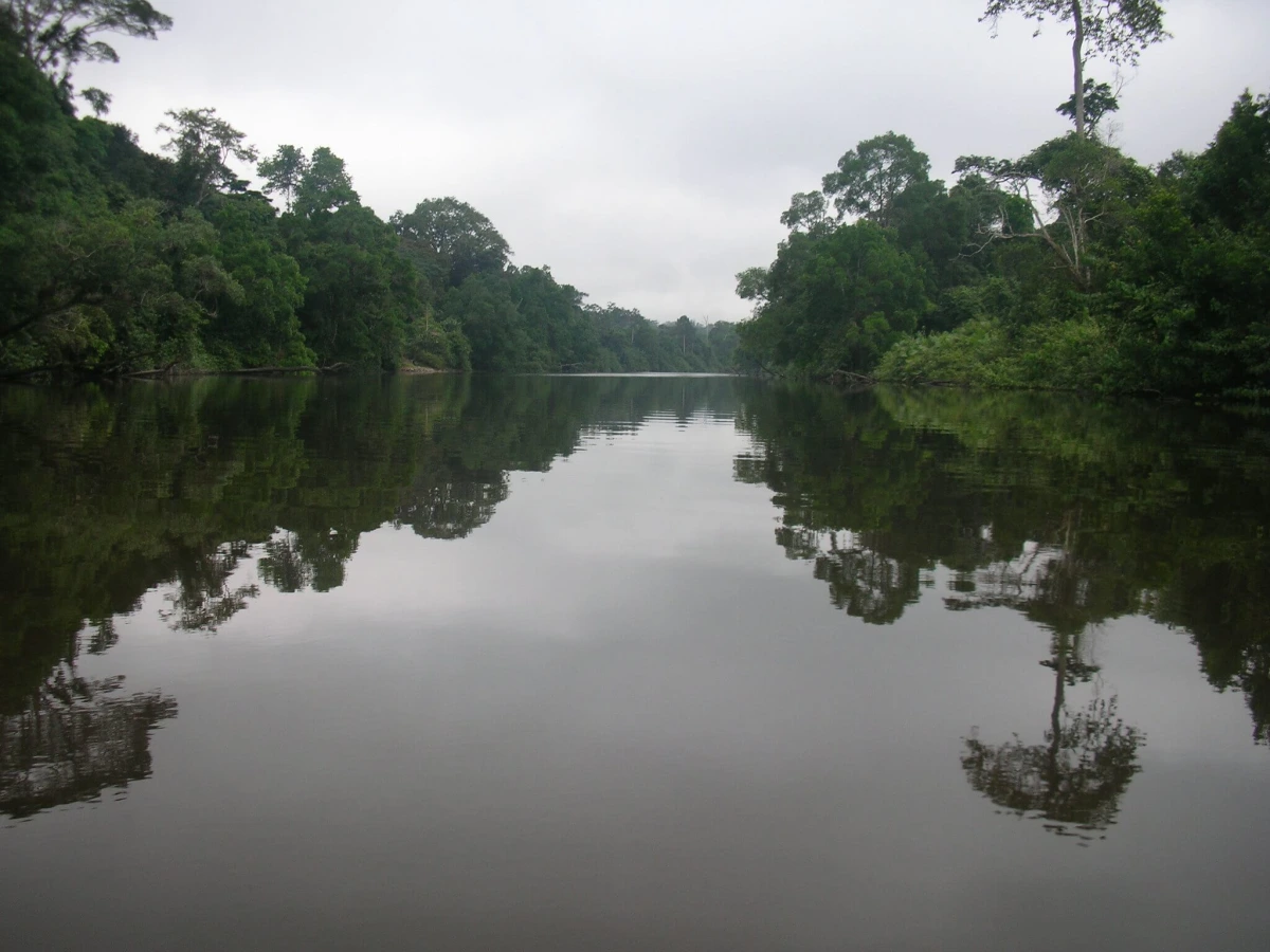 Réserve de faune du Dja, Cameroun