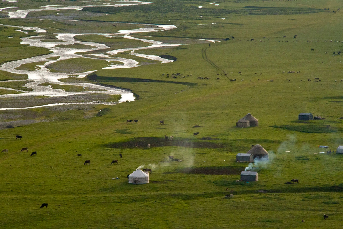 Nalati Grassland, Chine