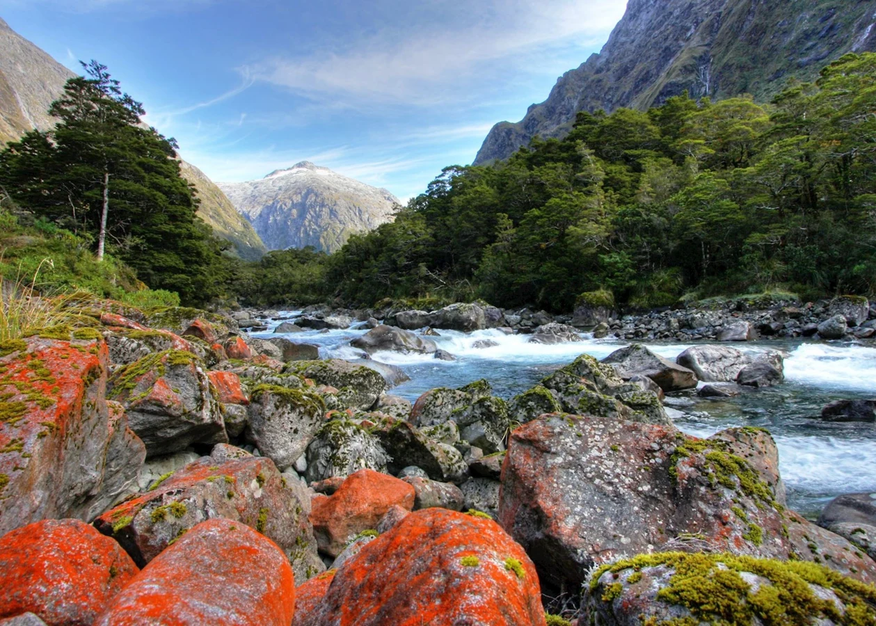 Hollyford Track, Nouvelle-Zélande