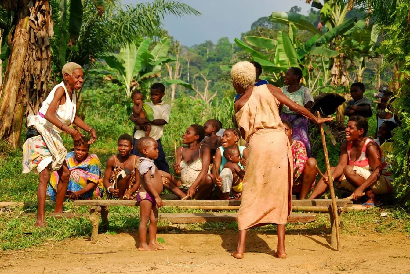 Parc national de Campo-Ma’an, Cameroun