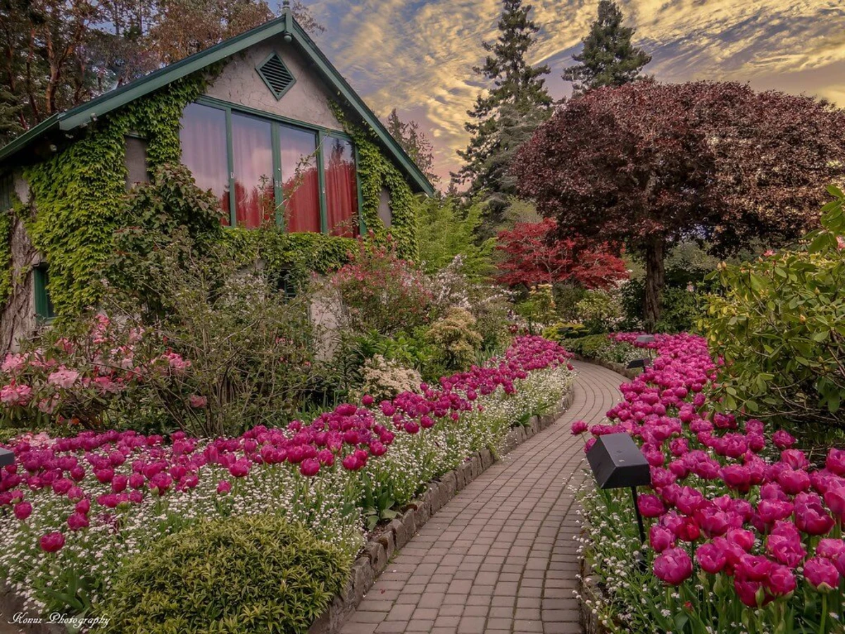 Jardins Butchart, Canada