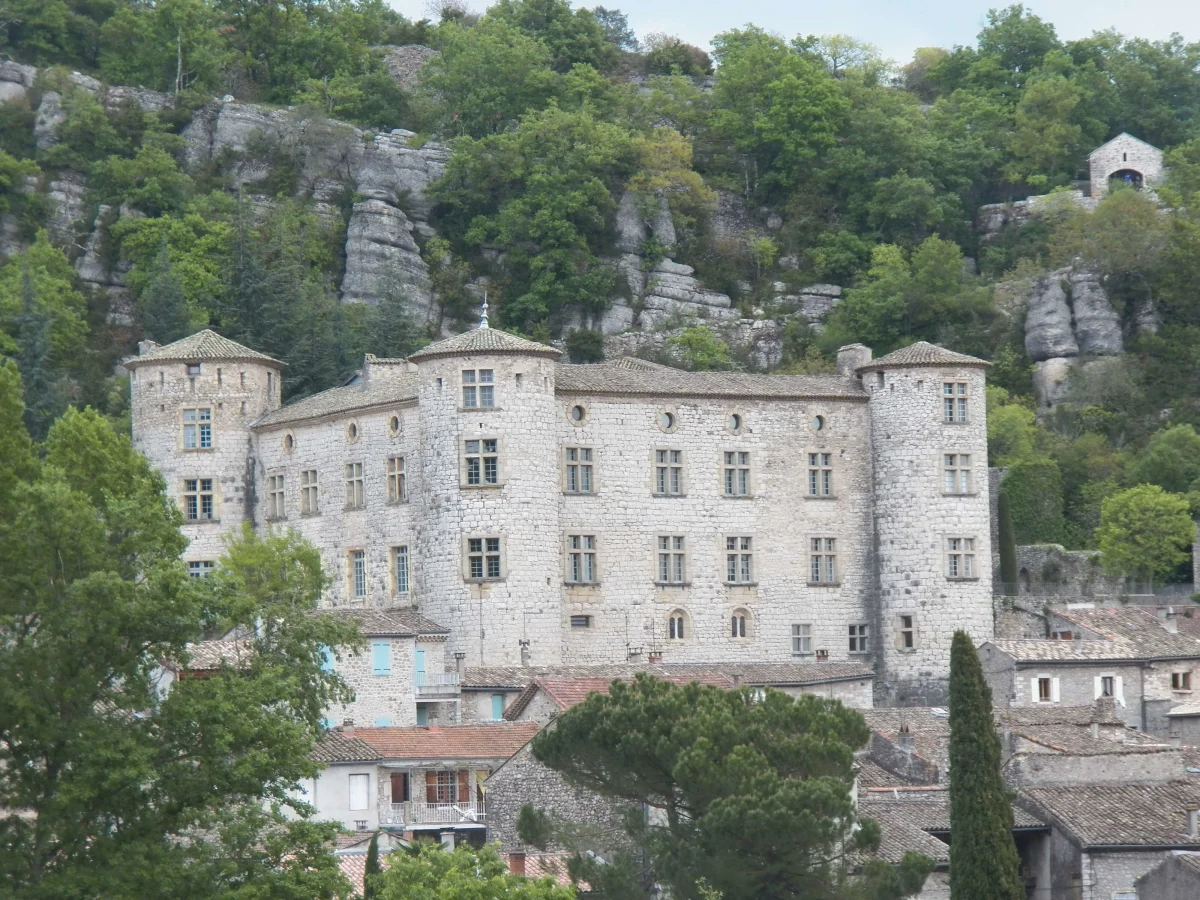 Château de Vogüé, France