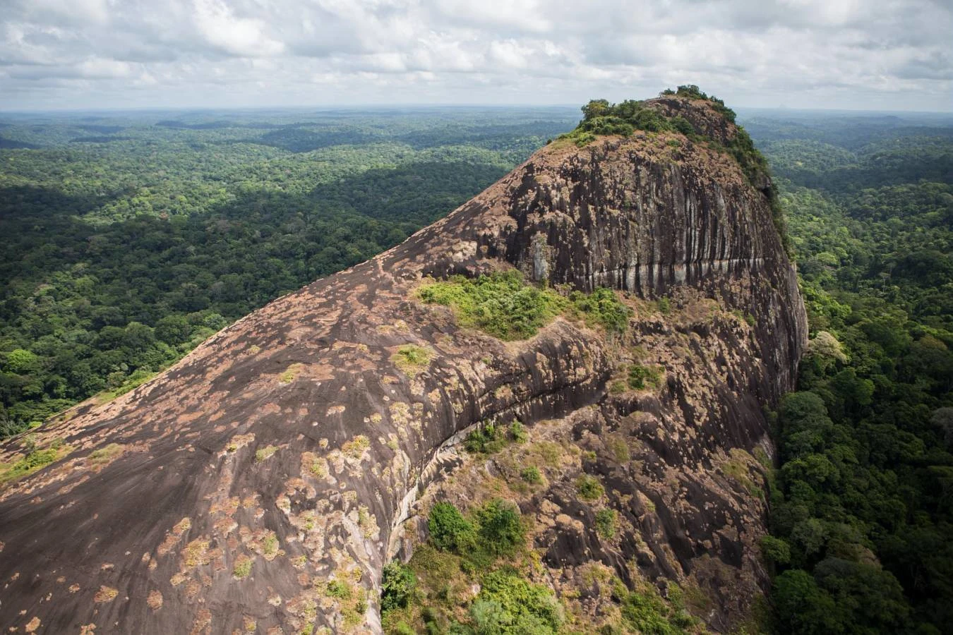 Parc amazonien de Guyane, Guyane française