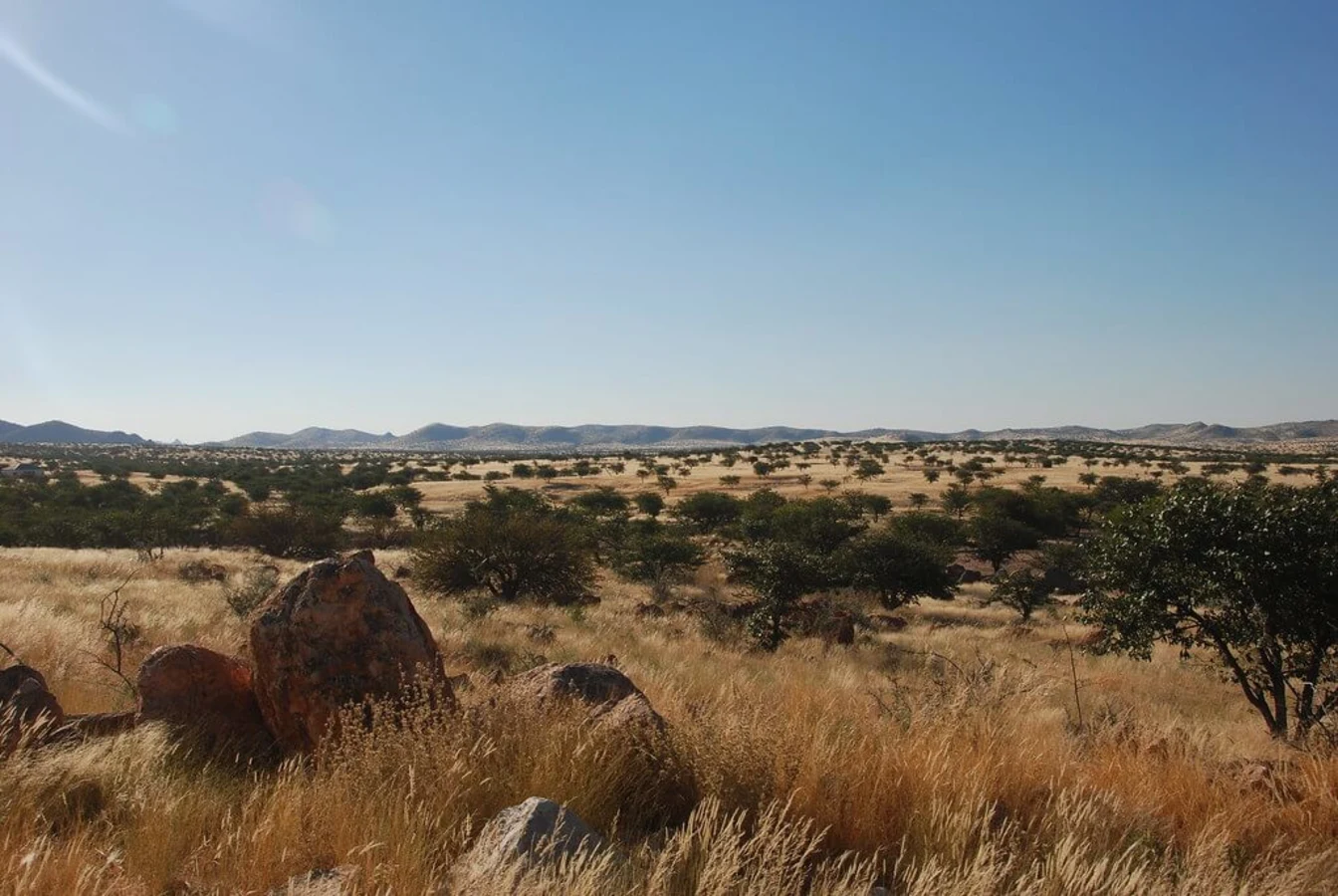 Damaraland, Namibie, Namibie