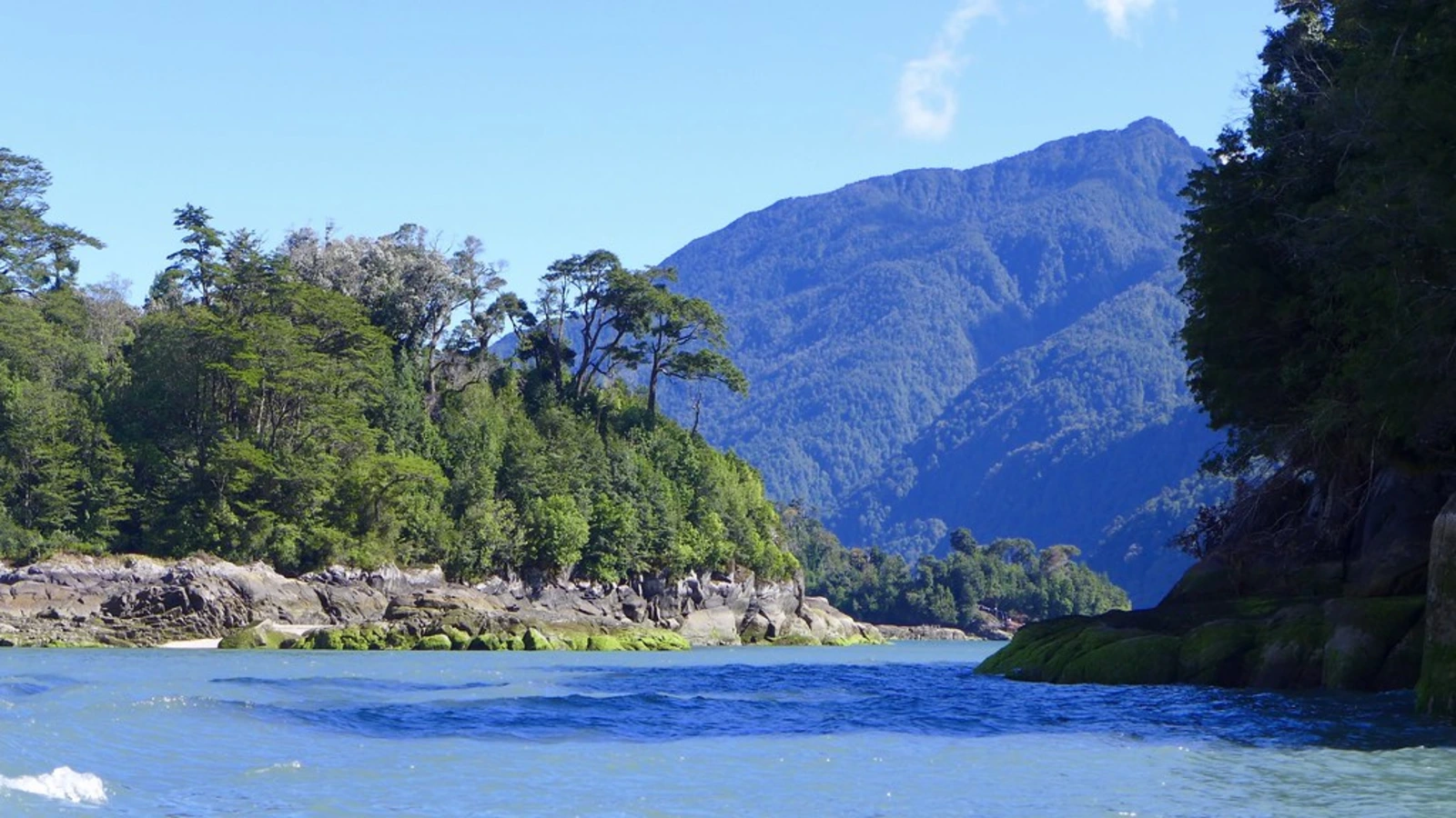 Parc de Pumalin, Chili