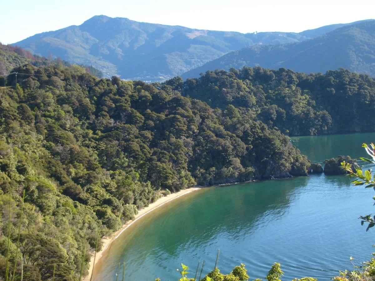 Marlborough Sounds, Nouvelle-Zélande