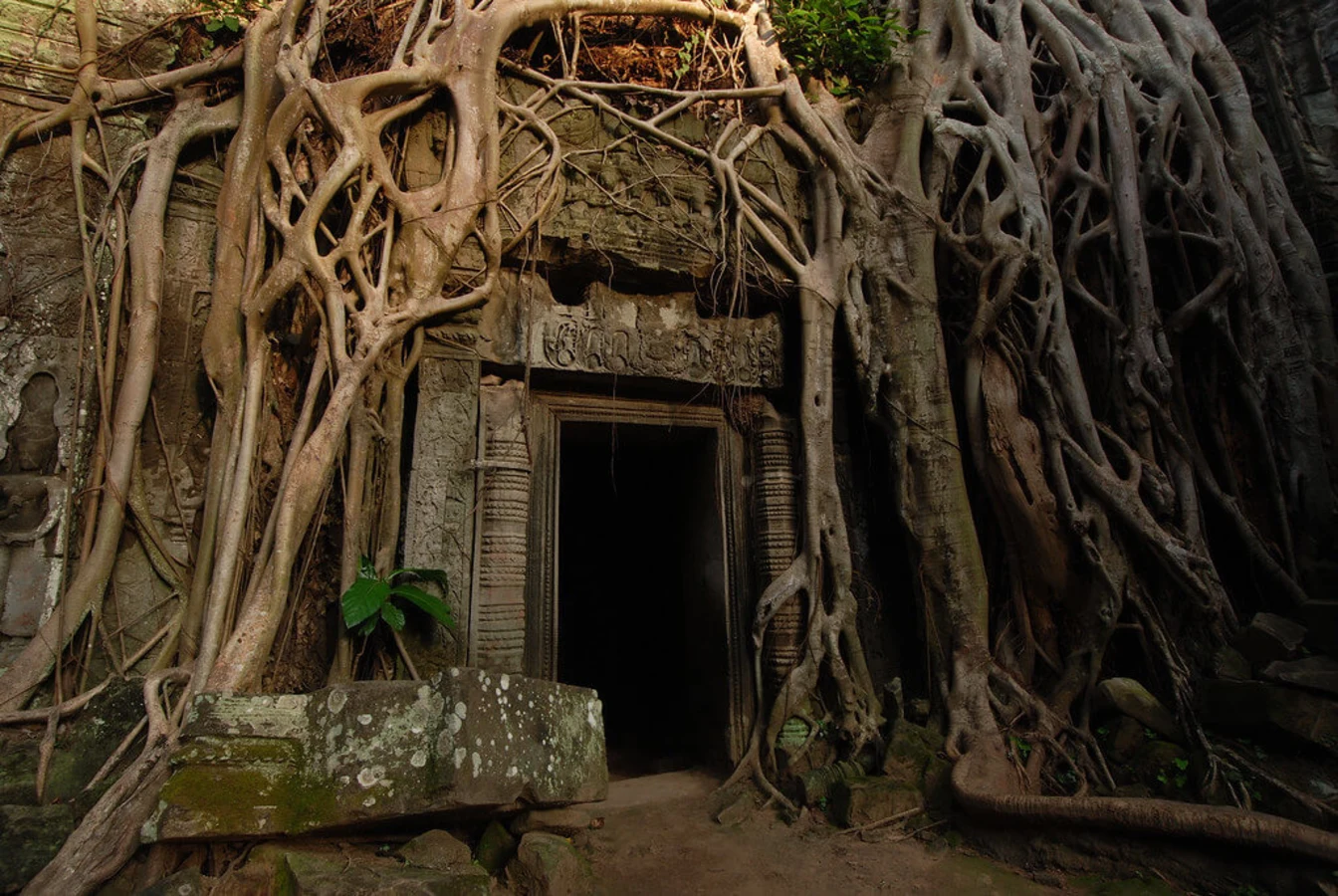 Ta Prohm, Cambodge