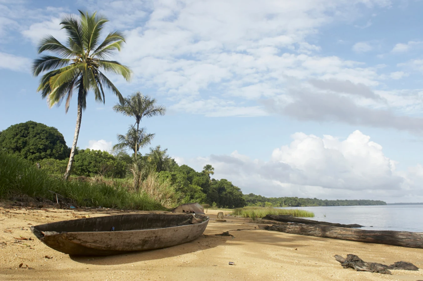 Réserve naturelle du Suriname central, Suriname