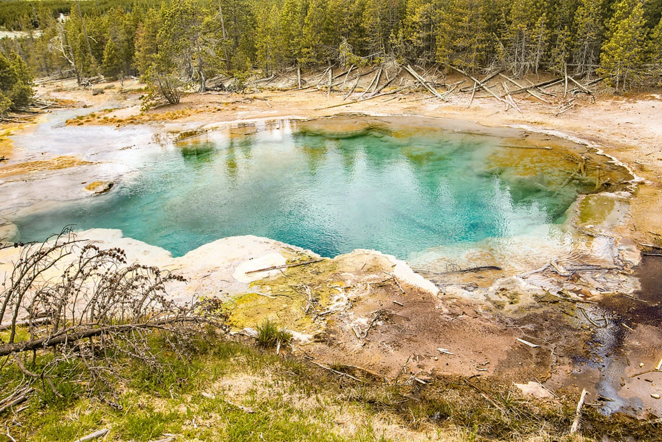Norris Geyser Basin, États-Unis