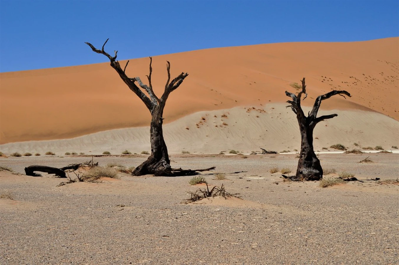 Hidden Vlei, Namibie