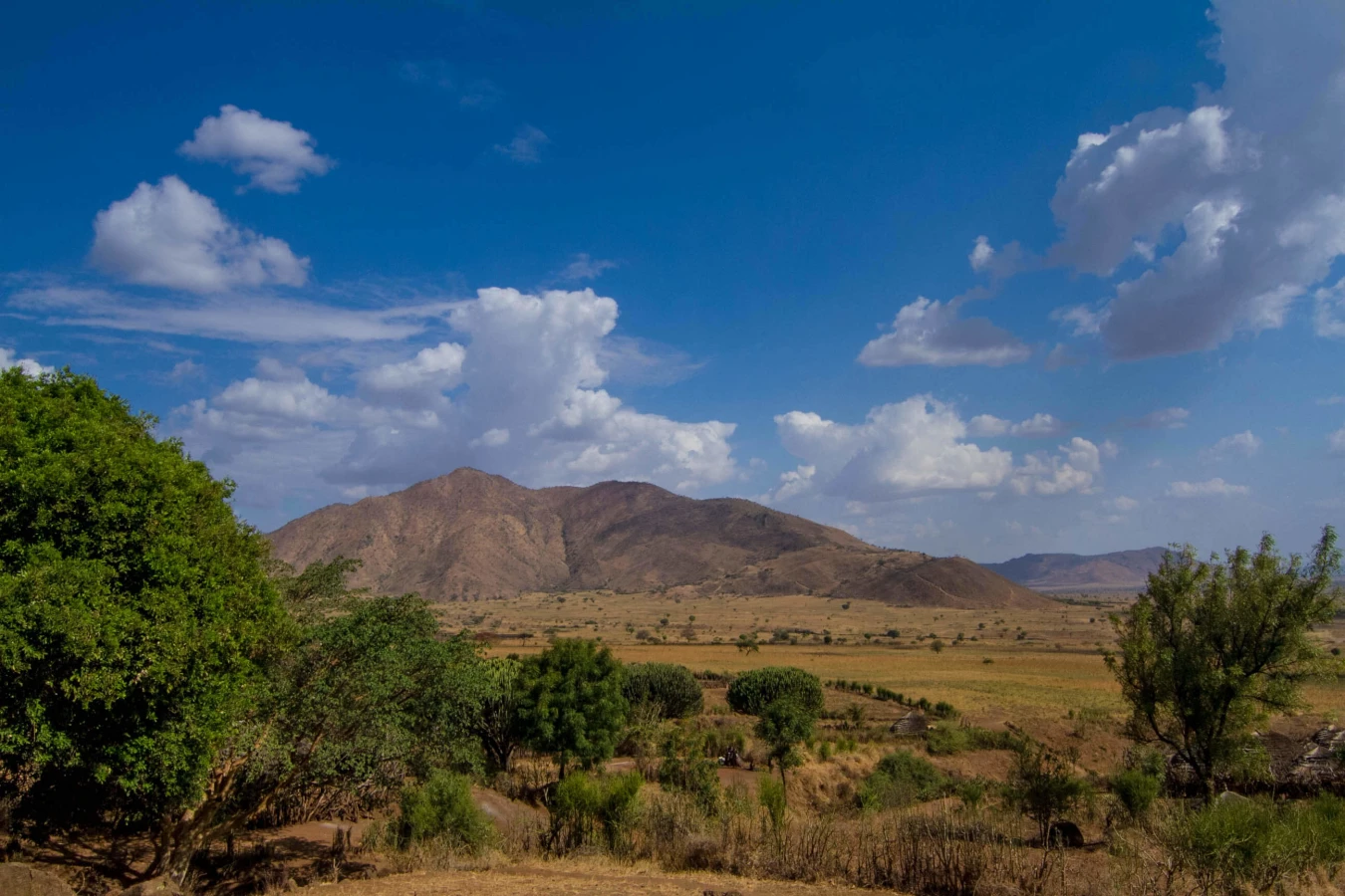 Parc national Kidepo Valley, Ouganda