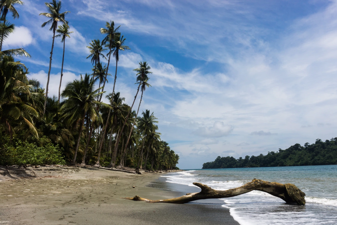 Île Gorgona, Colombie