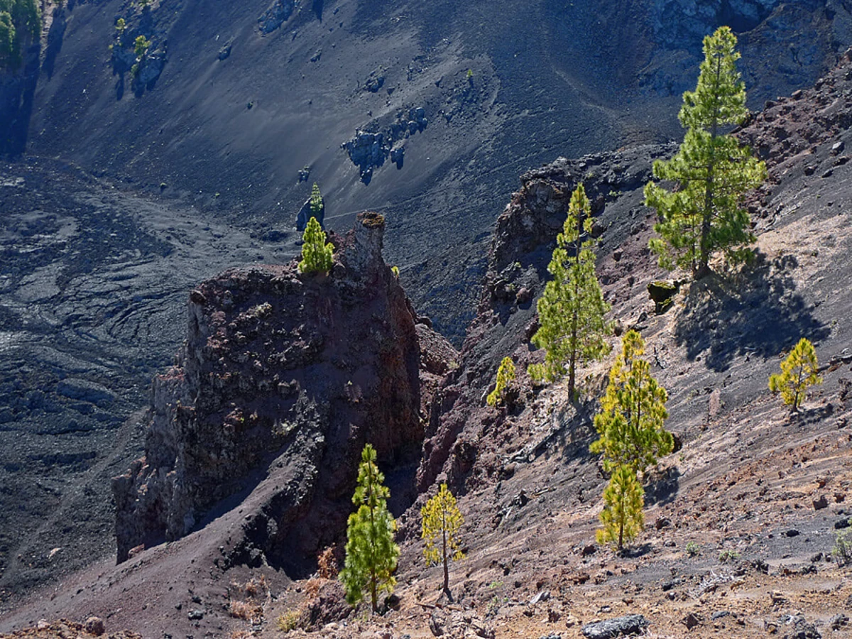 Route des Volcans, Espagne, Canaries