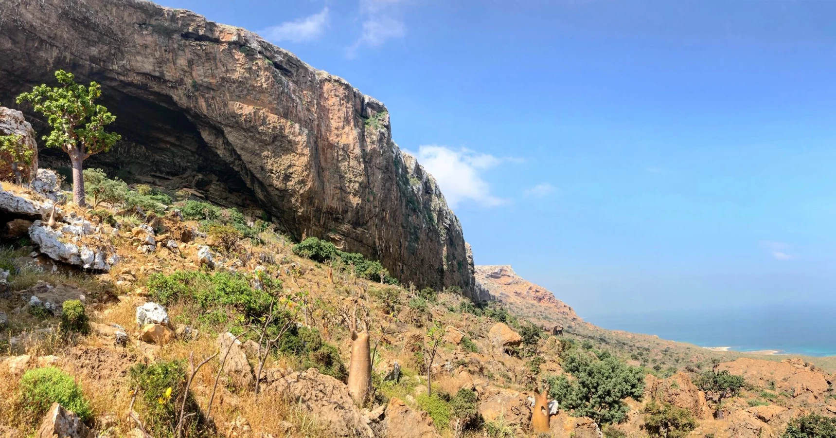Hoq Cave, Yémen, Socotra