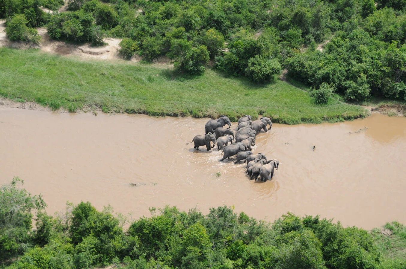 Ishasha River, Ouganda