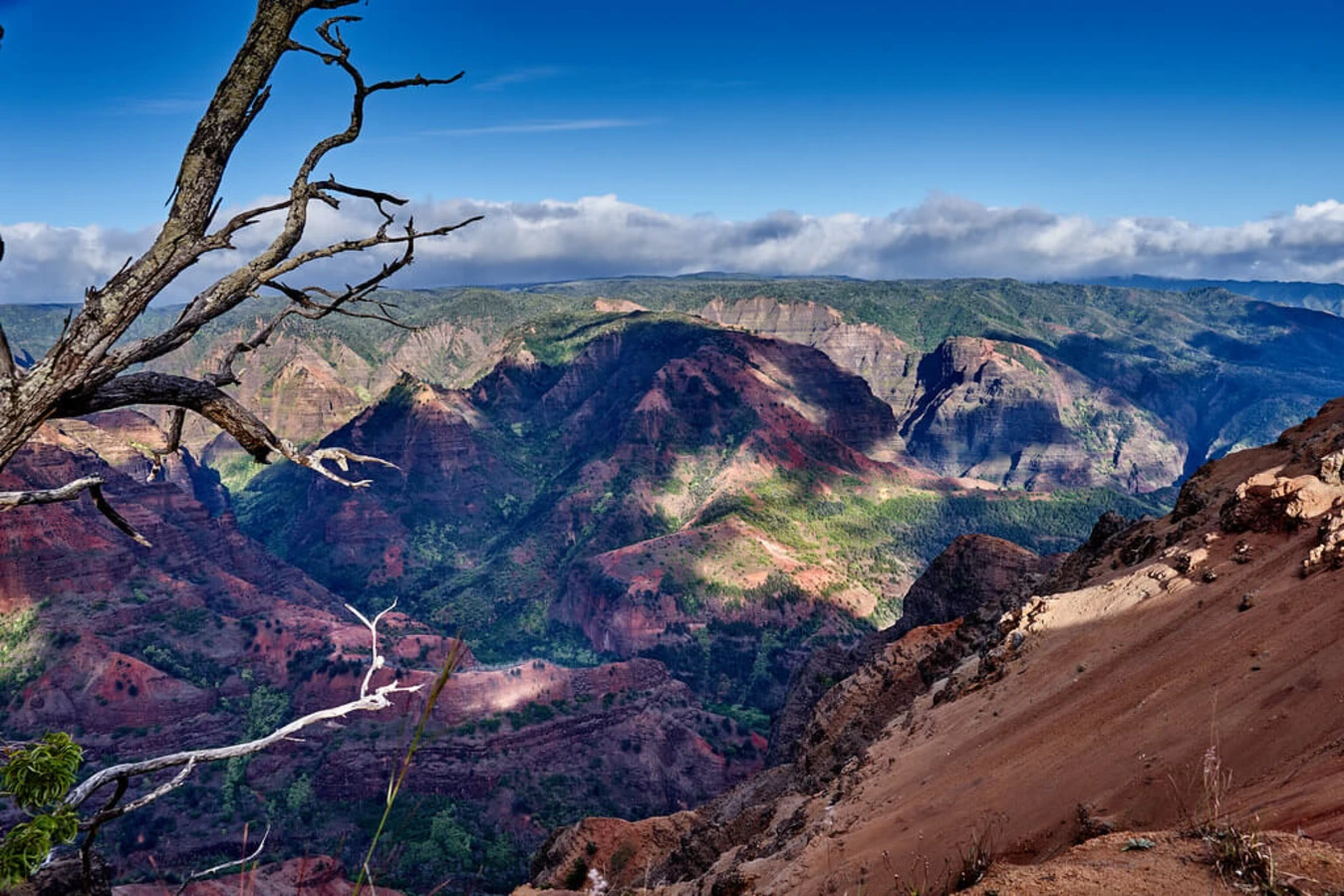 Parc d'État du Waimea Canyon, États-Unis, Hawaï