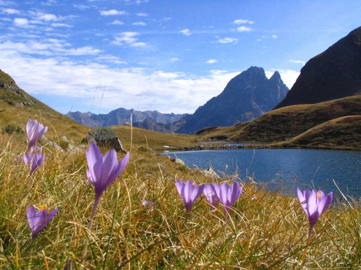 Lac d'Aule, France