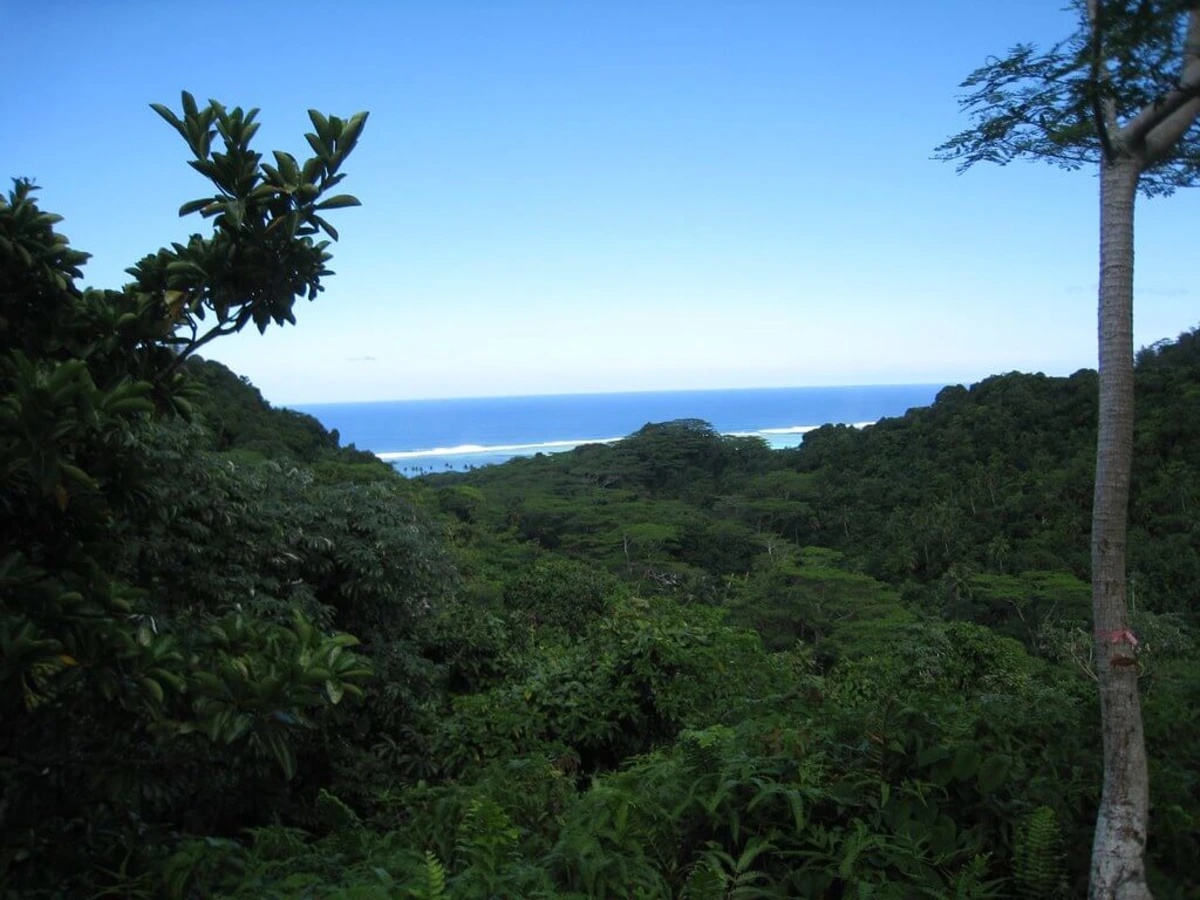 Rarotonga, Îles Cook
