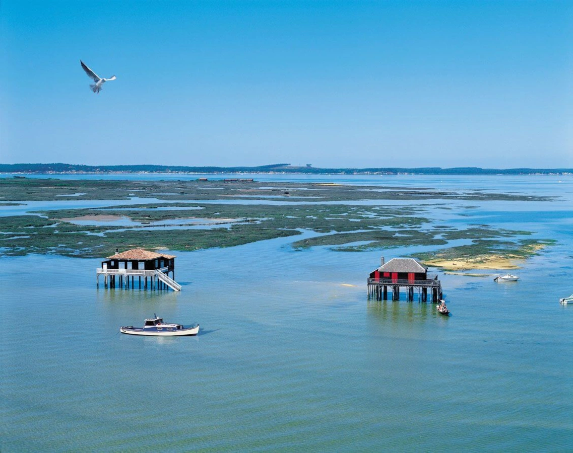 Île aux Oiseaux (Arcachon), France
