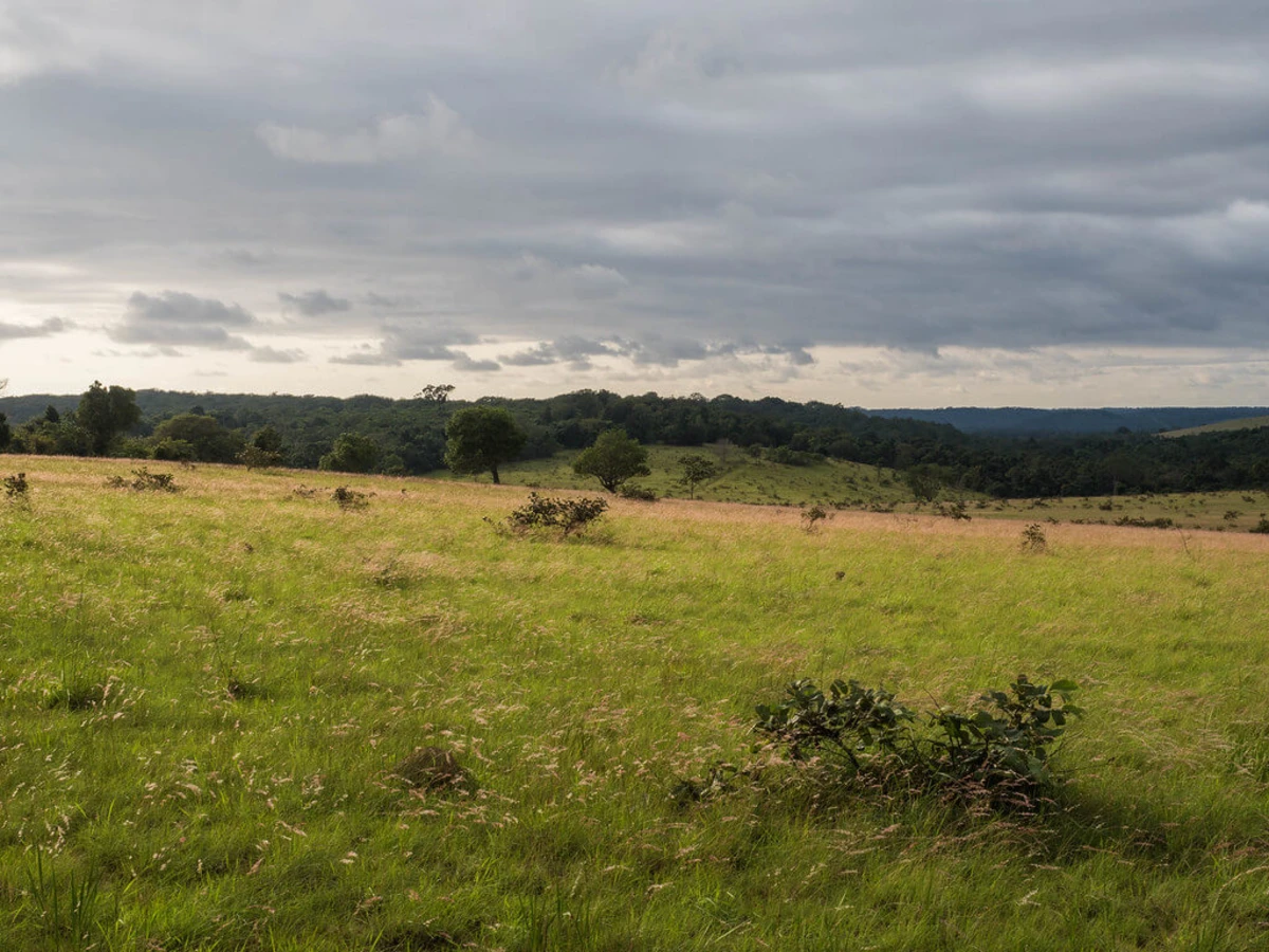 Parc national de Conkouati-Douli, République du Congo