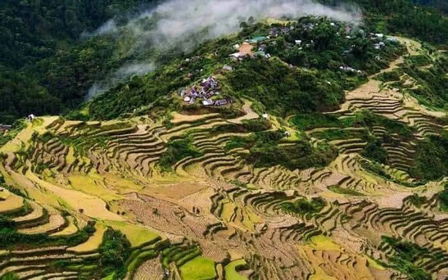 Maligcong Rice Terraces, Philippines