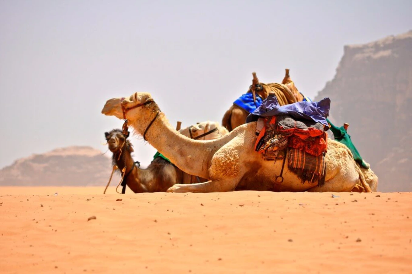 Wadi Rum, Jordanie
