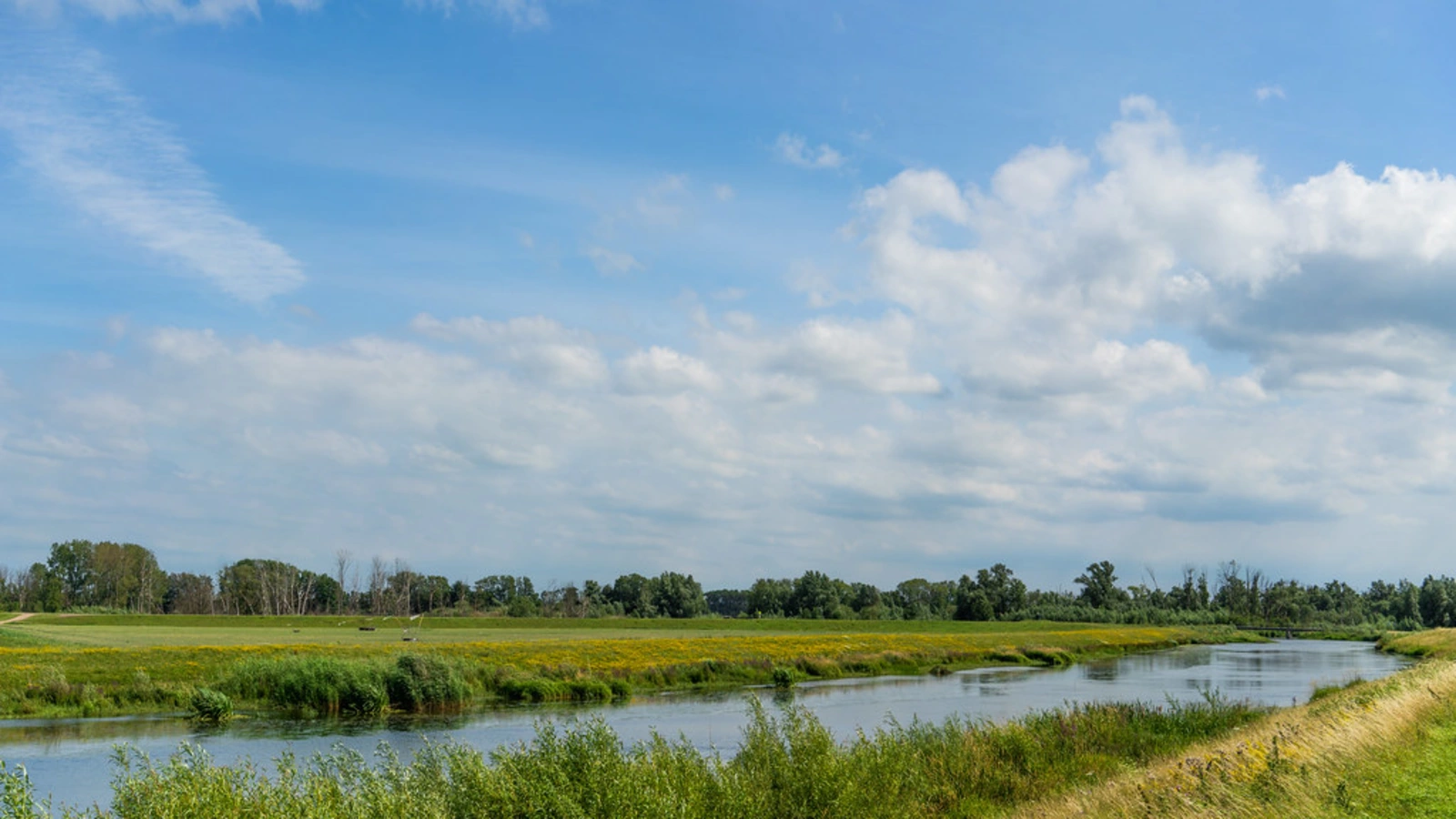 Parc national De Biesbosch, Pays-Bas, Pays-Bas