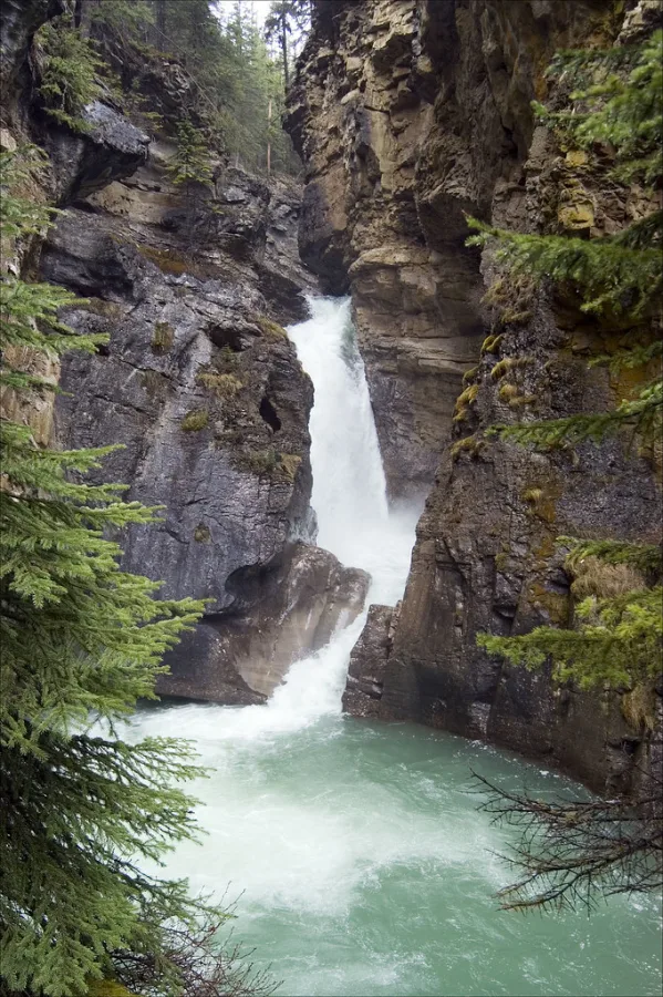 Canyon Johnston, Canada
