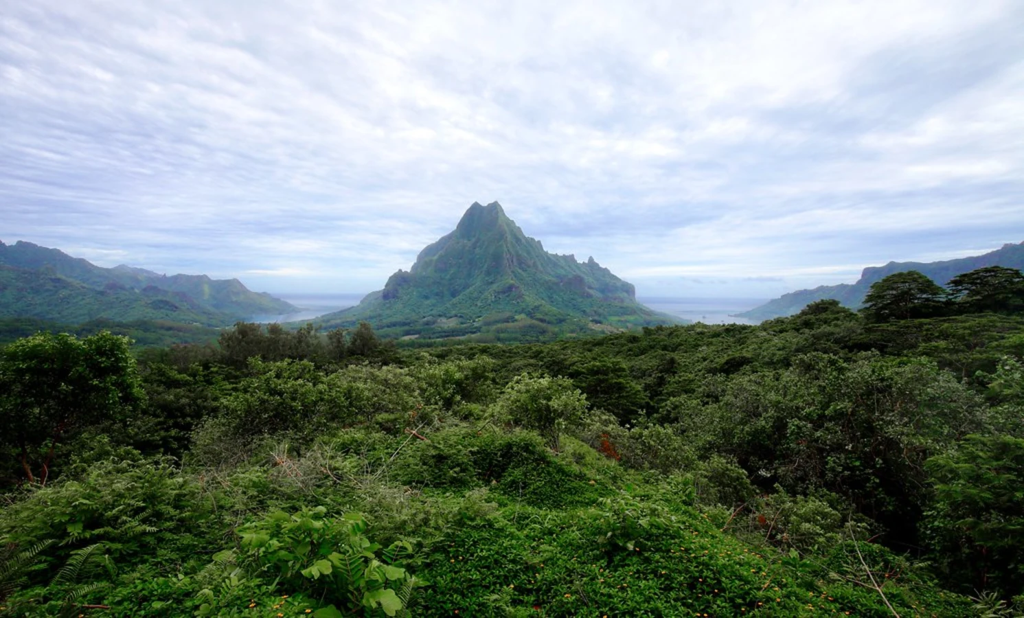 Mont Tohiea, Polynésie française