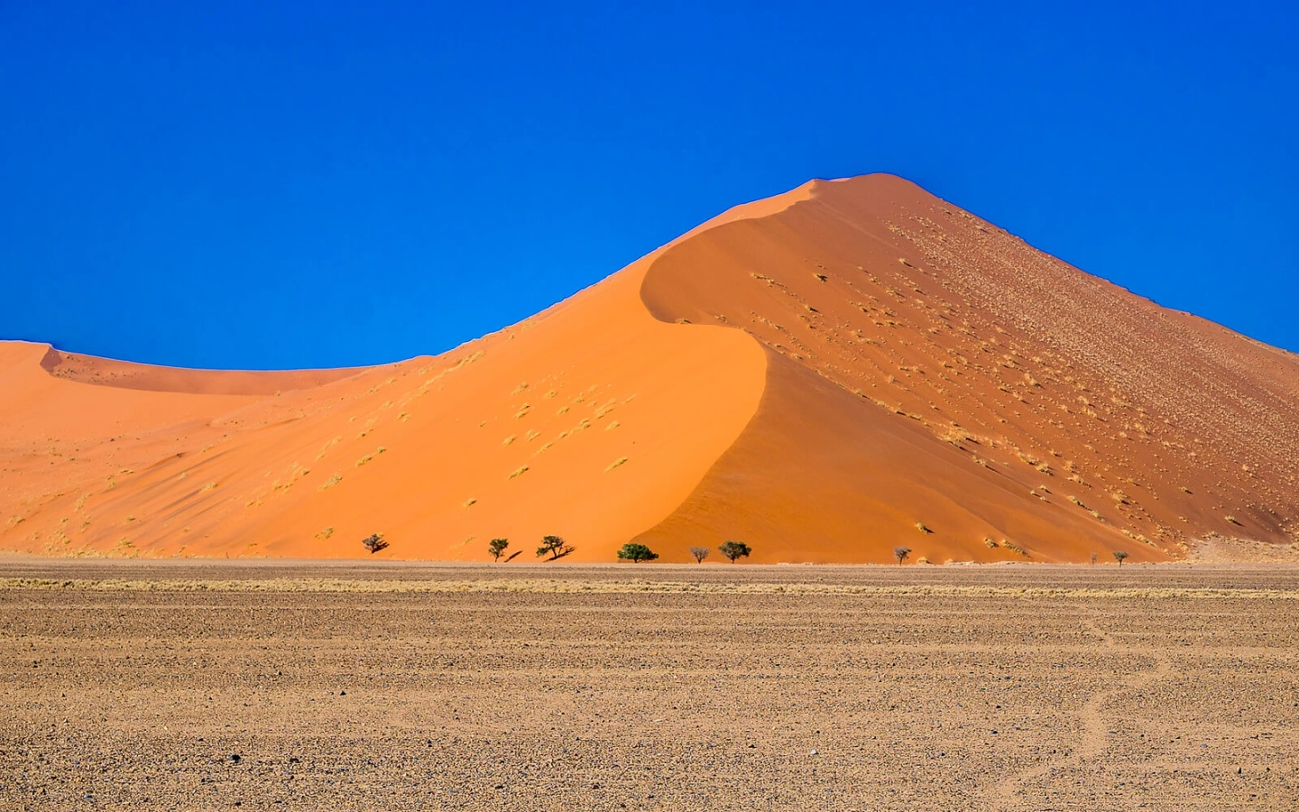 Dune 45, Namibie
