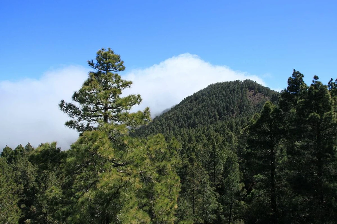 Cumbre Nueva, Espagne, Canaries