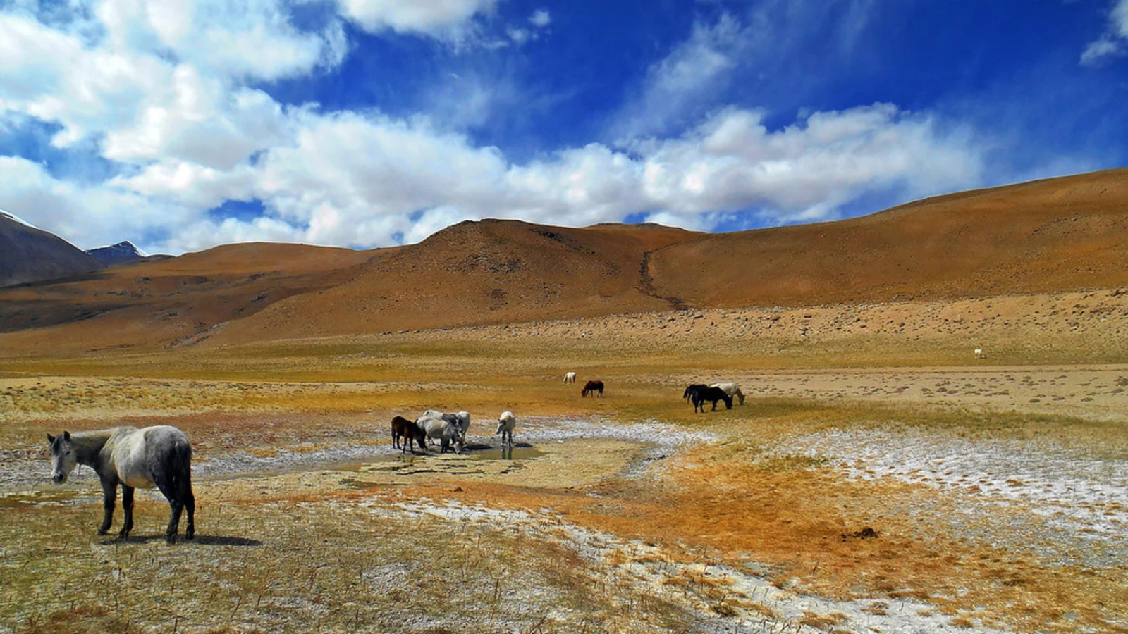 Rupsho Valley, Inde